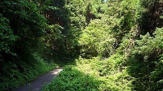 3本の登山路を柱に、派生の散策路も充実