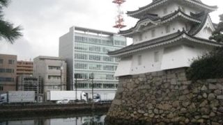 有料なのが、、