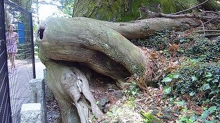 たこスギの横にある蛸の像