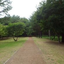 遊歩道