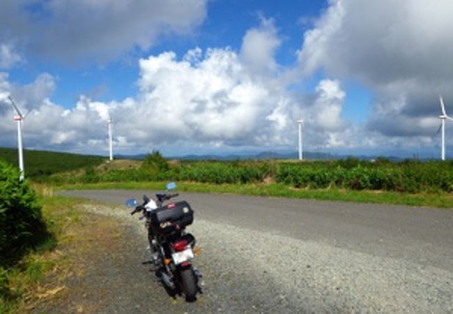 新山園地