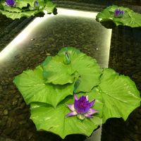 ロビーに咲く蓮の花