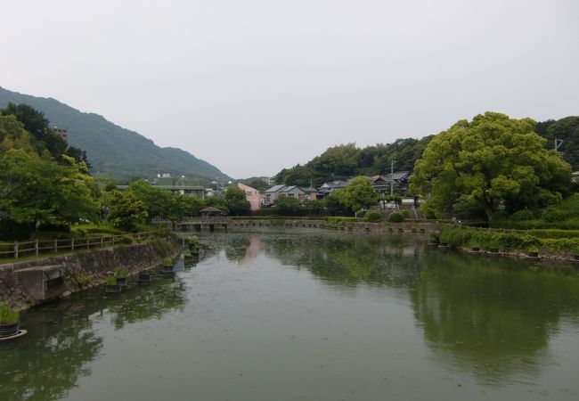 花と池が美しい、熊越池公園