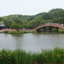 反橋と平橋