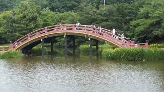 美しい浄土式庭園美を堪能しました。