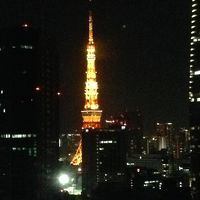東京タワー夜景ver.