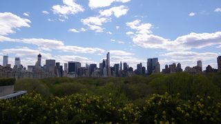 圧倒的な所蔵量