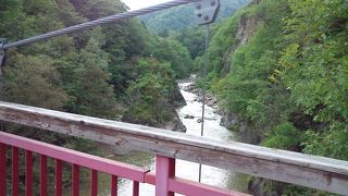 自然を満喫できます