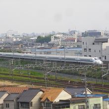 展望フロアから東海道新幹線が見えます
