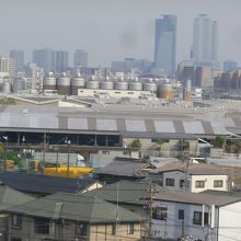 展望フロアから名古屋駅方面のビル群が良く見えます