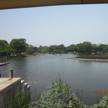 フランス料理マルセイユからの風景