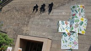 ソフトクリーム頂きました。