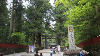 パワースポットですね！