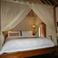 蚊帳の付いたベッド。