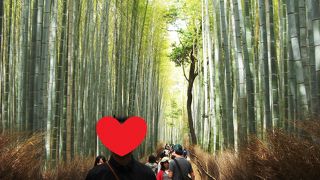 京都で一番行きたかった場所です