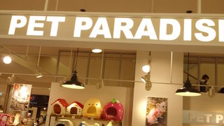 子供服ではありません！