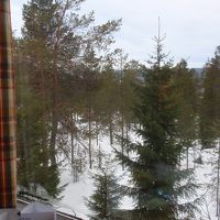 部屋からのながめ