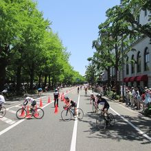 横浜山下公園通り