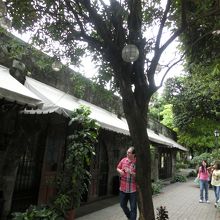 ビジターセンター