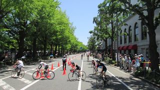 横浜山下公園通り