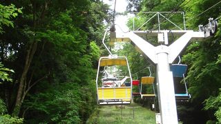 5月は緑がきれいで気持ちがいい。