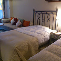 素敵な洋室　窓の外は森