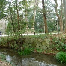 これは3月のまだ肌寒いころの糺の森