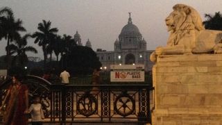 ライトアップのショー