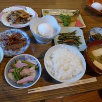 朝のご飯です、山菜が美味しかった