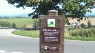 写真撮影用の立て札あり