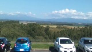 花派も団子派も両方楽しめる公園