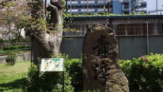 秀吉が茶会の水を汲んだところです