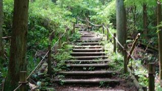 マイナスイオンたっぷり浴びて森林浴の楽しめる自然探勝路