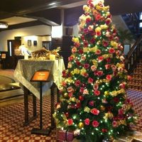 ロビー前のクリスマスツリー