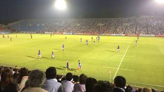 臨場感あふれるラグビー観戦できます