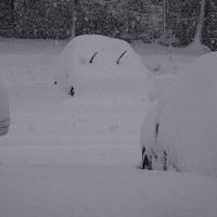 冬の駐車場朝、車が雪だるま