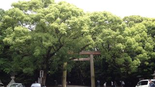 森の中のお社 ♪