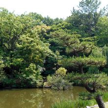 ひょうたん池の景観。手前の松がアクセント。
