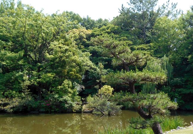 安城市内の自然豊かな公園