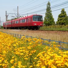 陸上競技場右手のお花畑と名古屋鉄道西尾線の赤電車。