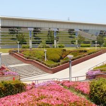 ソフトボール場A付近からのスポーツセンターの眺め。