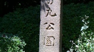 とてもひろいです