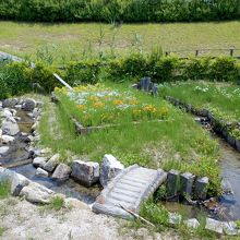 西側散策路から階段を下りたところにある水の流れと花壇。