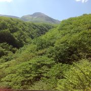 いろんな楽しみ方ができる山！