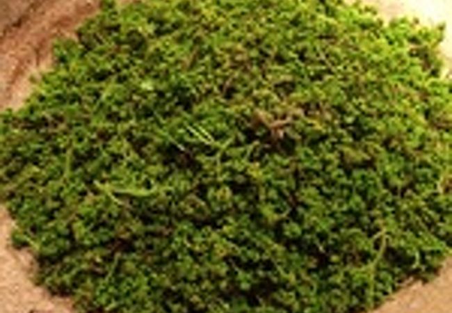 麻布 幸村 クチコミ アクセス 営業時間 麻布 フォートラベル