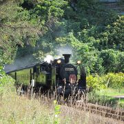 【サボ　愛称板】（表）SLニセコ号　2010 札幌−蘭越　指定席　（裏）白 s40116-1.JPG