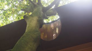 初めて知ること