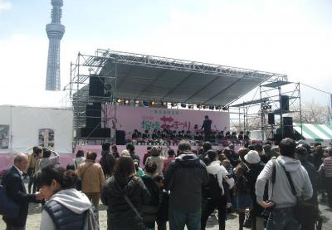 桜橋花まつり クチコミ アクセス 営業時間 浅草 フォートラベル