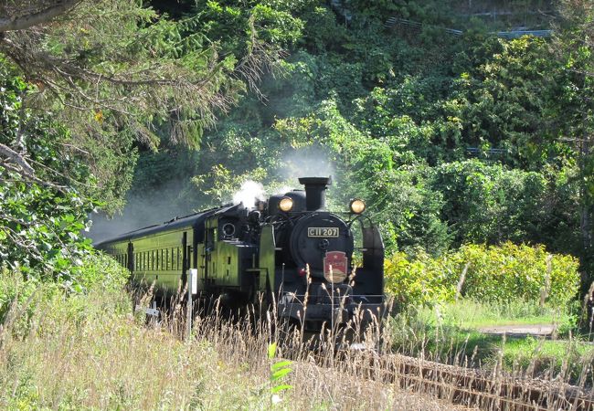 【サボ　愛称板】（表）SLニセコ号 2006 札幌−蘭越　指定席（裏）白 鉄道サボ 行先板】（表）札幌−蘭越（裏）蘭越− 札幌 札幌