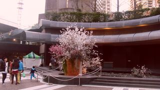 桜の季節になると屋台などが出ます。